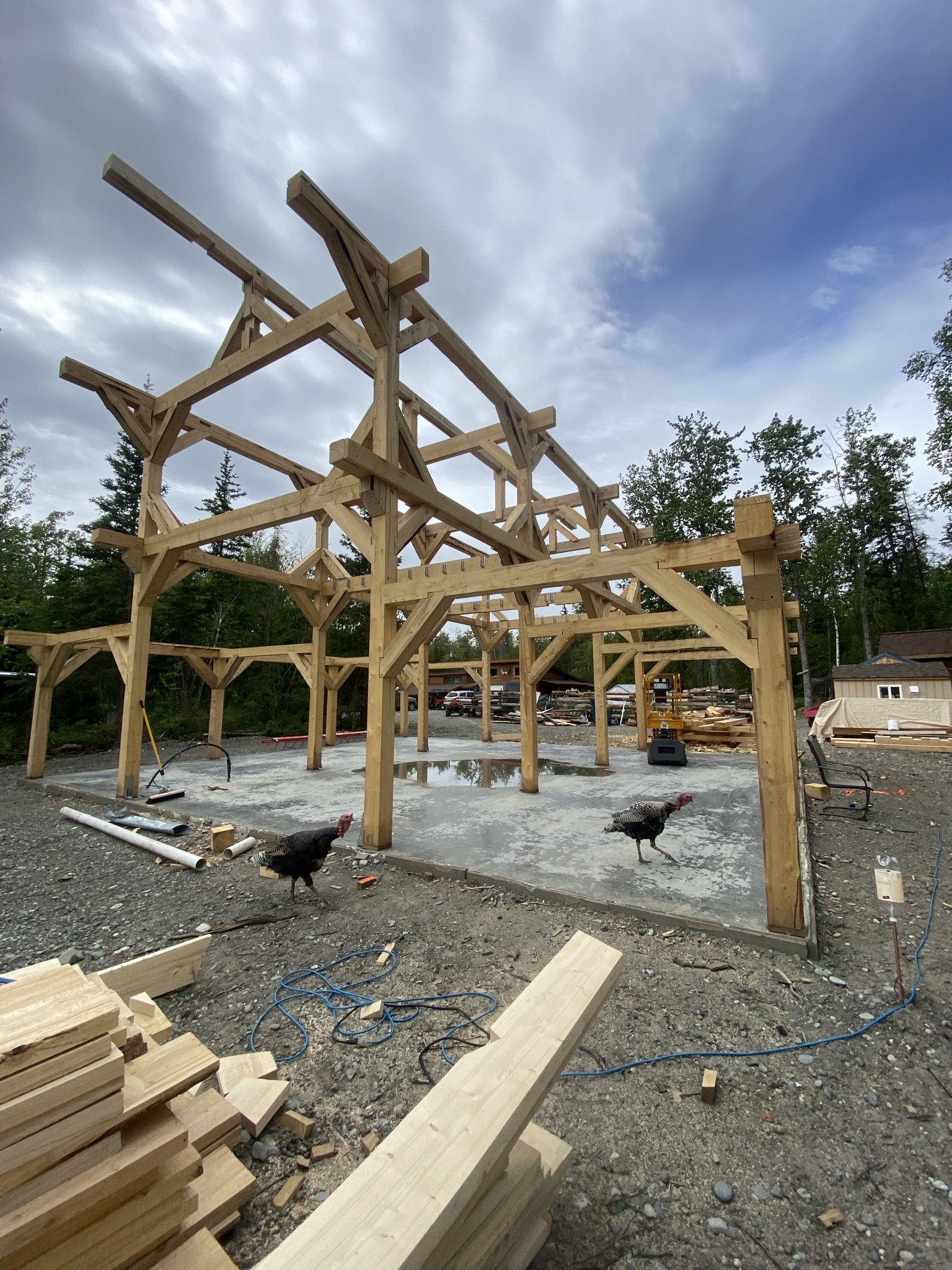 Hand-cut timber frame barndominium rising to full height against a blue sky