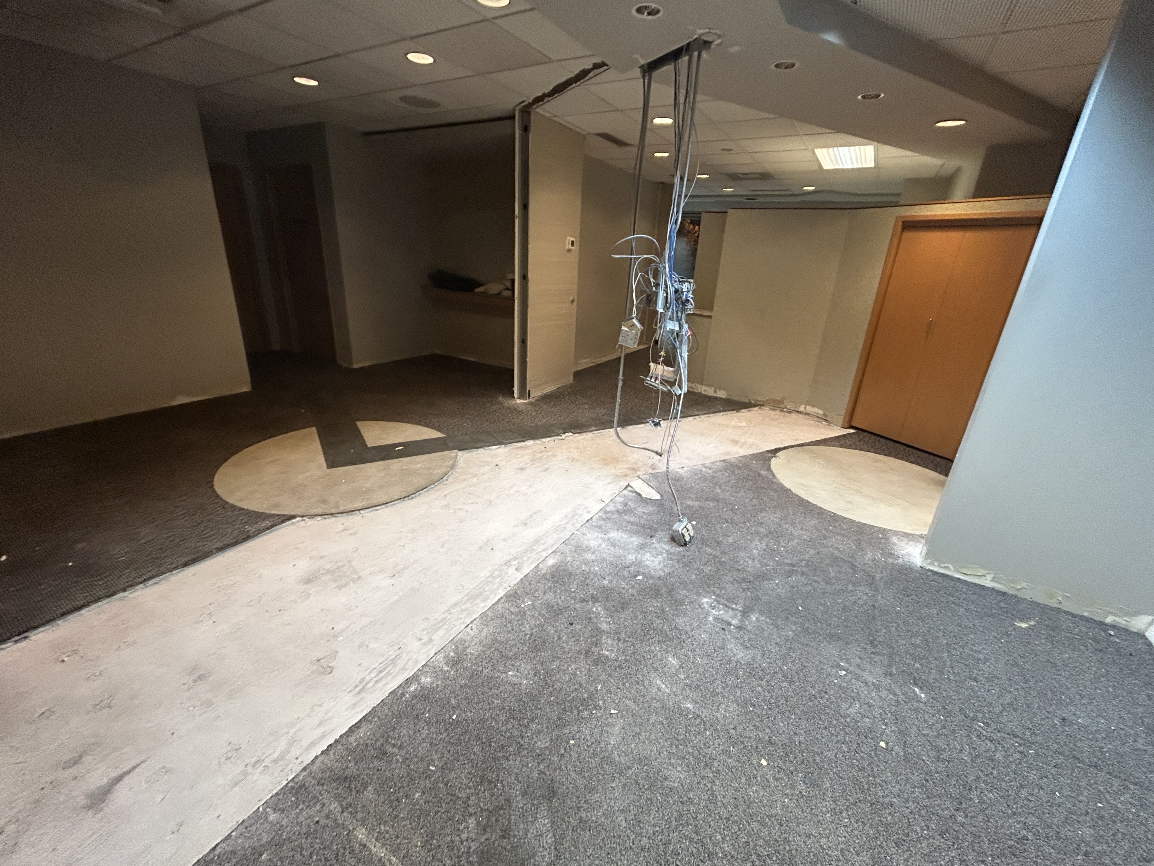 Open floor with lifted carpet and ceiling wiring removed, circular slab patches from dental chair utilities