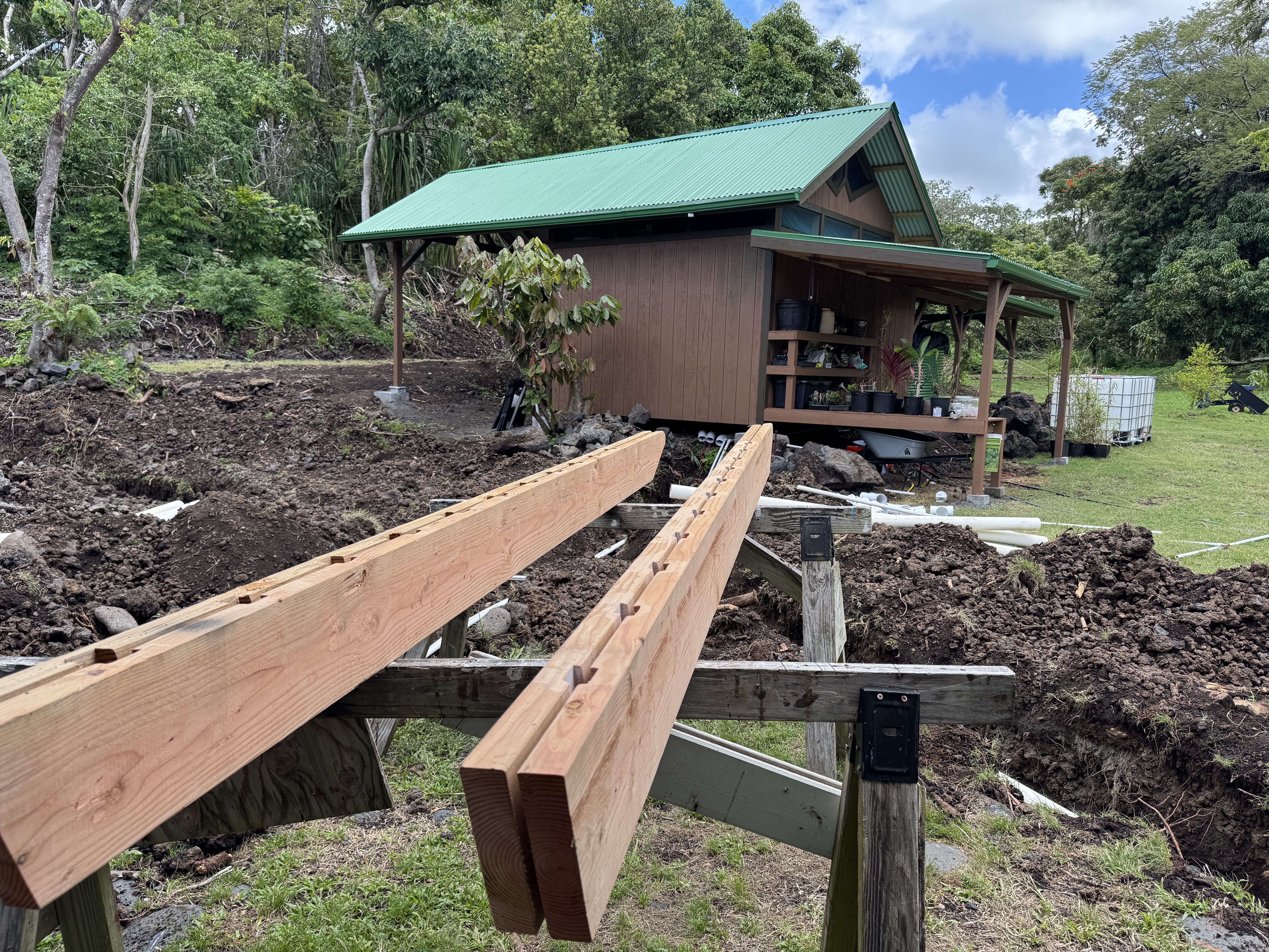 Milled hardwood beams resting on sawhorses beside a finished green-roof cabin