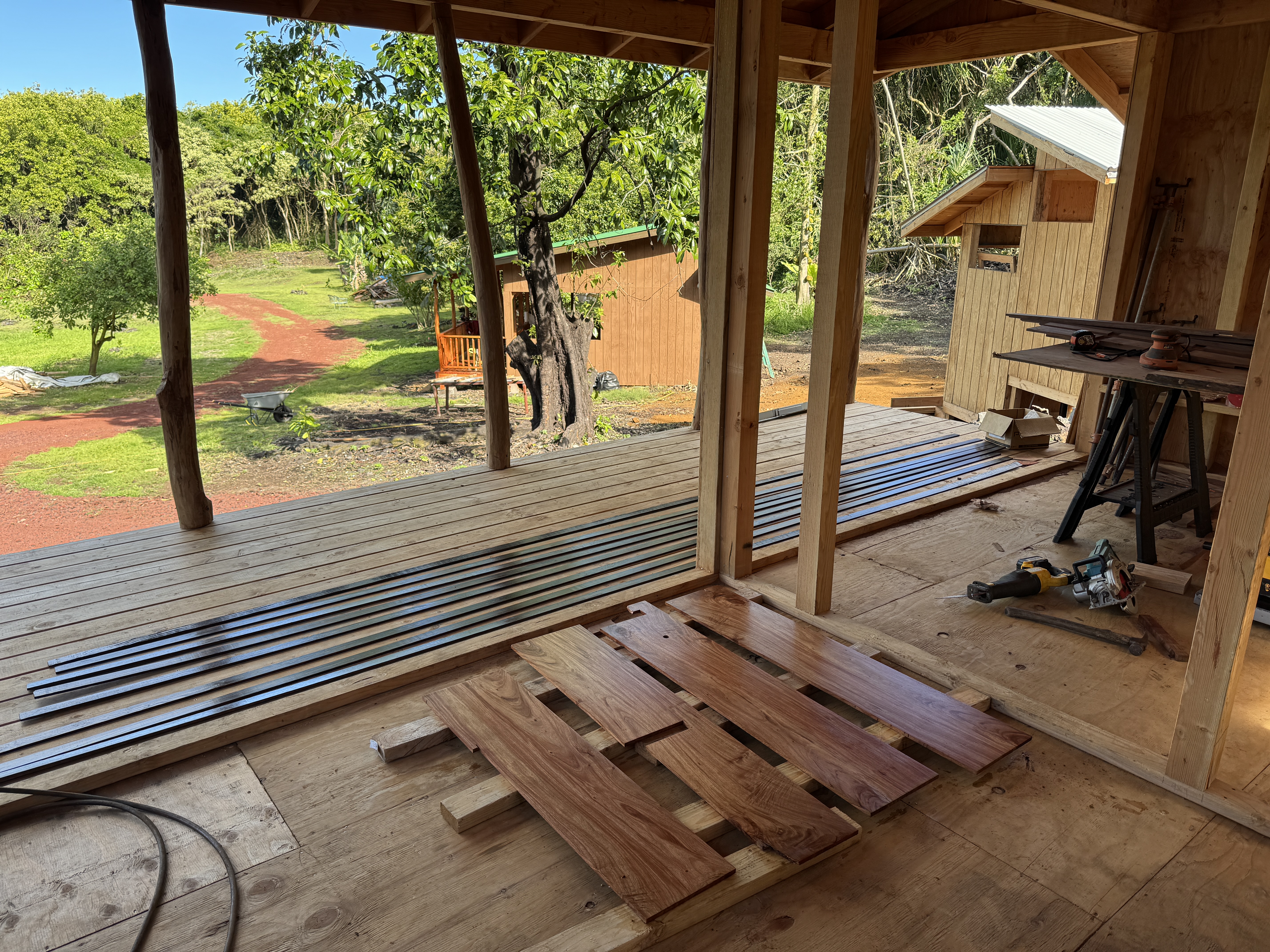 The view from a cabin lanai across the cleared grounds toward another green-roofed cabin in the grove